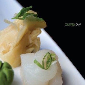 ดาวน์โหลดและฟังเพลง Brand New Bungalow พร้อมเนื้อเพลงจาก Bungalow