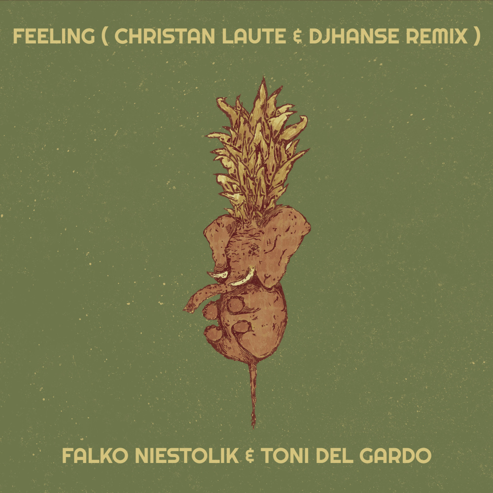 Feeling (Christan Laute & DjHanse Remix)