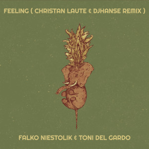 ดาวน์โหลดและฟังเพลง Feeling (Christan Laute & DjHanse Remix) พร้อมเนื้อเพลงจาก Falko Niestolik