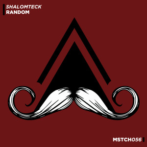 ดาวน์โหลดและฟังเพลง Random (Radio Edit) พร้อมเนื้อเพลงจาก ShalomTeck