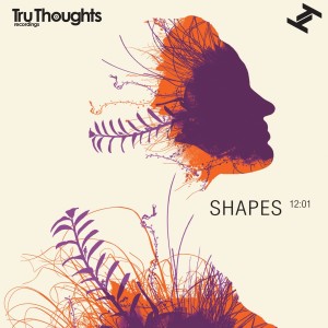 Album Shapes 12:01 from Various
