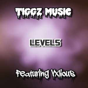 Album Levels (Explicit) from Tiggz Music