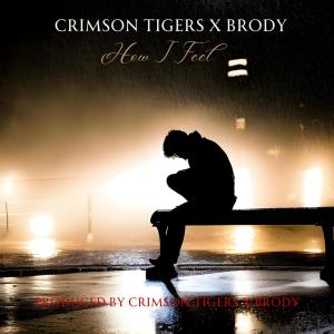 Crimson Tigers的專輯How I Feel