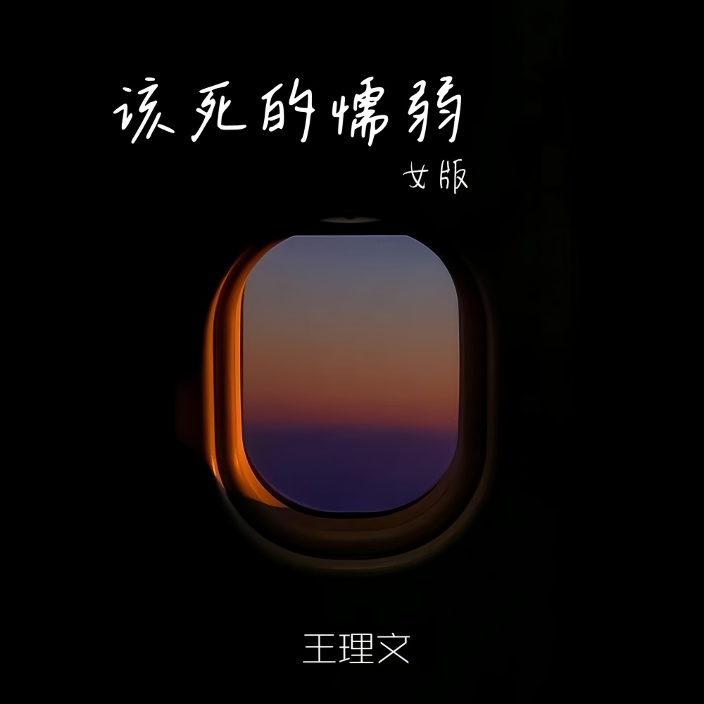 该死的懦弱 (DJ阿本版伴奏)