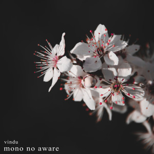 Listen to Mono No Aware song with lyrics from Vindu