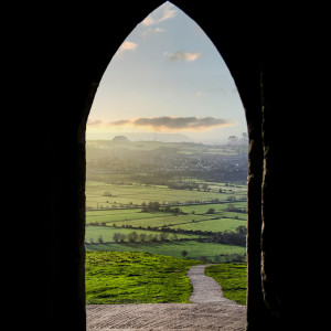 收聽SURJ的The Ladder歌詞歌曲