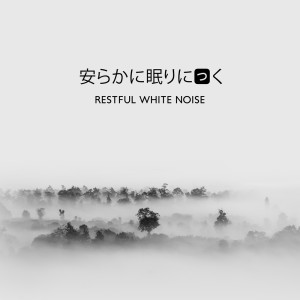 安らかに眠りにつく (Restful White Noise)