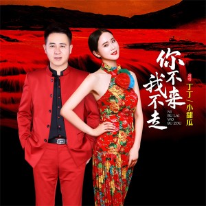 Album 你不来我不走 from 丁丁