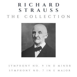 收聽Berliner Philarmoniker的Symphony No. 7 in E major, WAB 107: II. Adagio歌詞歌曲