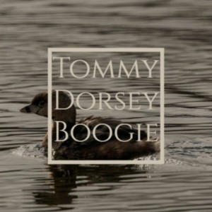 อัลบัม Tommy Dorsey Boogie ศิลปิน Various Artist