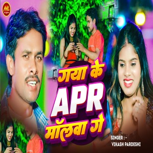 ดาวน์โหลดและฟังเพลง Gaya Ke Apr Maulwa Ge พร้อมเนื้อเพลงจาก Vikash Pardeshi