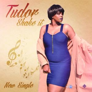 Listen to Shake It song with lyrics from Tudor