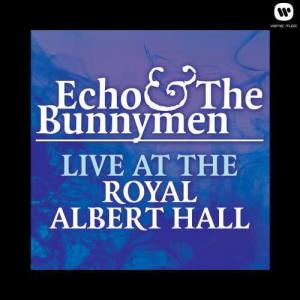 收聽Echo & The Bunnymen的The Back of Love (Live at Royal Albert Hall 1984) (Live at Royal Albert Hall, 1984)歌詞歌曲