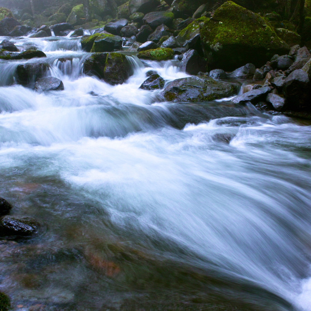 Streamside Harmonious Whispers