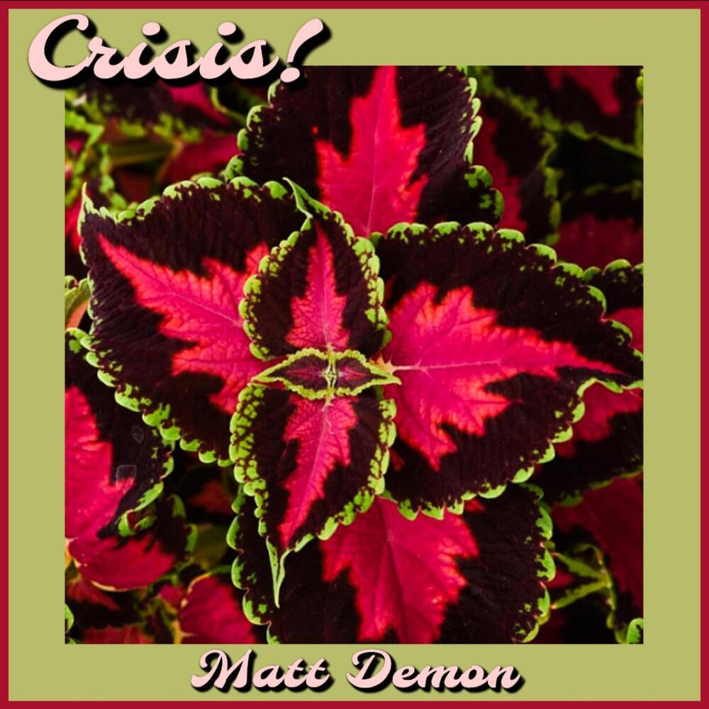 Crisis! (Explicit)