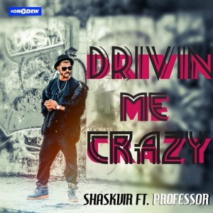 Album Drivin Me Crazy from Shaskvir