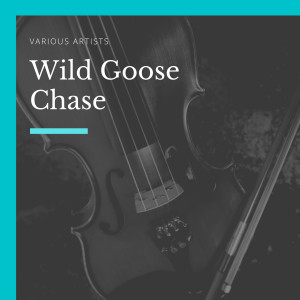 Various Artists的專輯Wild Goose Chase