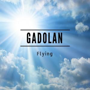 收听Gadolan的Flying歌词歌曲