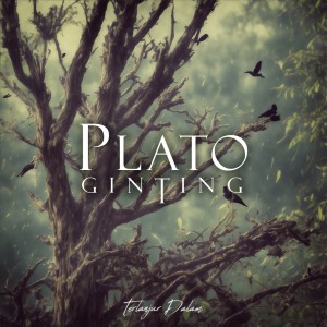Album Terlanjur Dalam oleh Plato Ginting