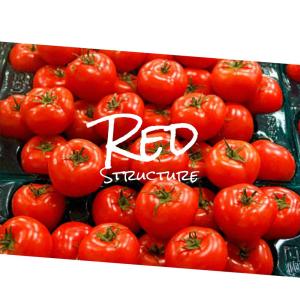 Various的专辑Red Structure