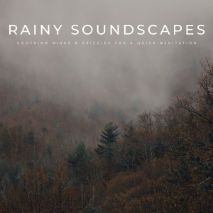 Rainy Soundscapes: Soothing Winds & Drizzles For A Quick Meditation
