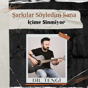 Album İçime Sinmiyor (Şarkılar Söyledim Sana) from 