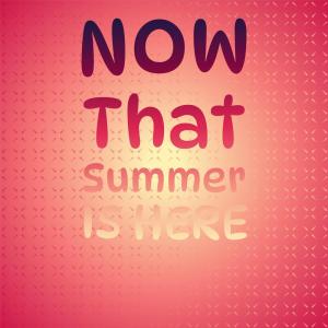 Listen to Now That Summer Is Here song with lyrics from The Videls & The Paradons