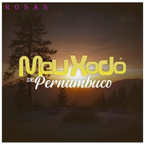 Listen to Penso Em Você song with lyrics from Banda Meu Xodó De Pernambuco