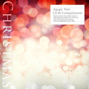 Album Ccm Piano Collection For Agape Tree's Christmas from Various Artists