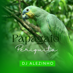 Album Papagaio periquita (Explicit) oleh DJ ALEZINHO