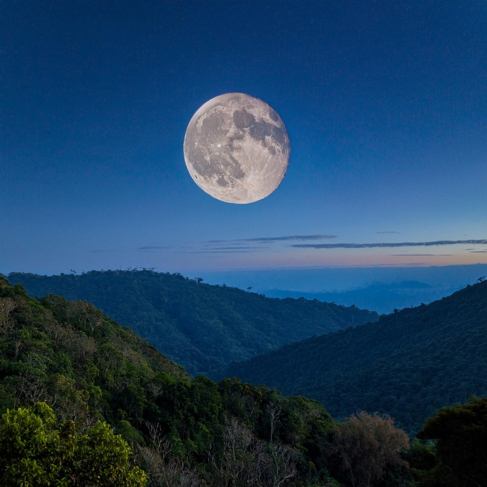 Melodía De Una Noche Tranquila
