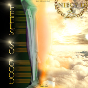Listen to Feels So Good song with lyrics from Niecy D