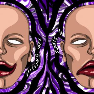 ดาวน์โหลดและฟังเพลง 2 Sides พร้อมเนื้อเพลงจาก Spitting Ibex