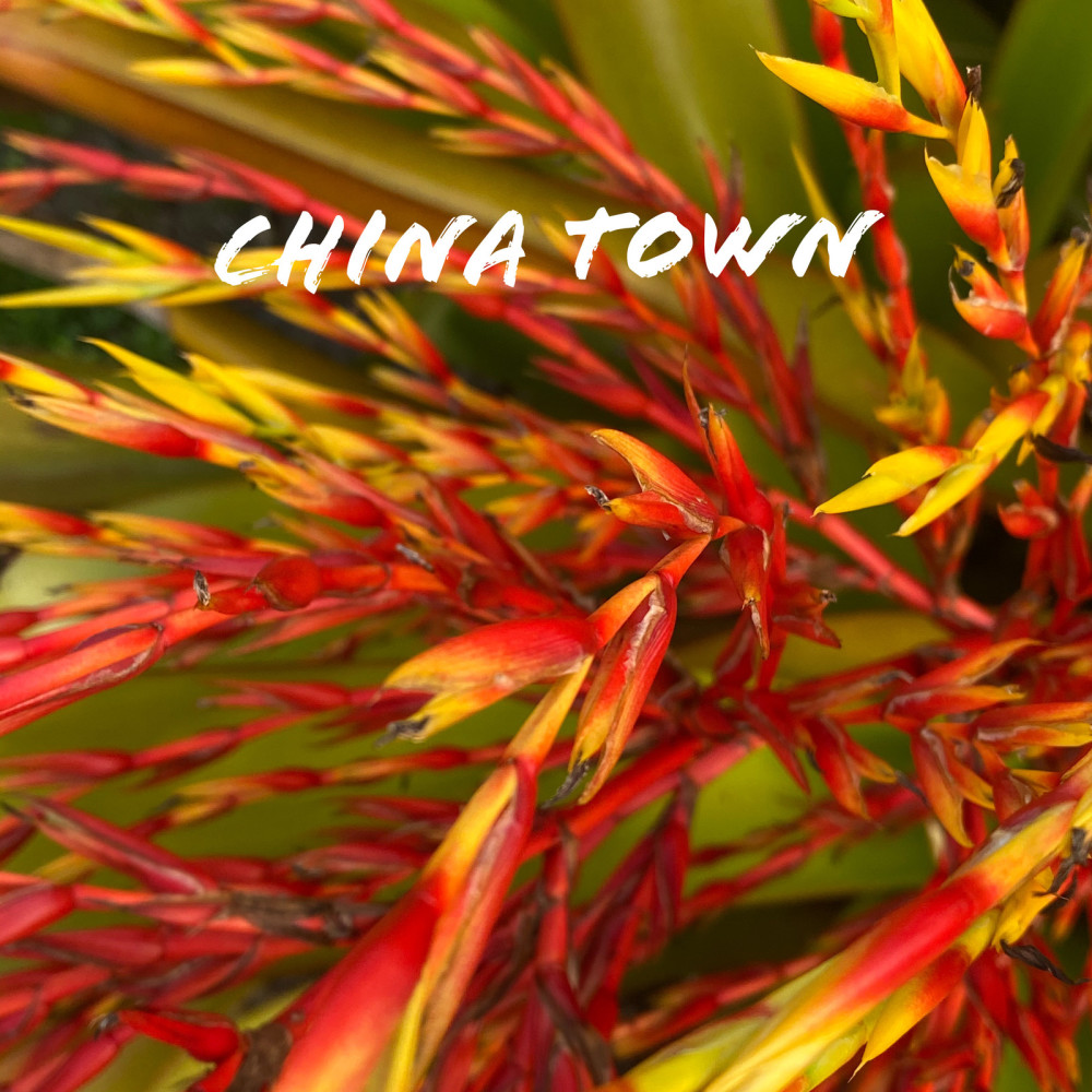 China Town (Explicit)