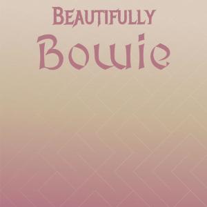 Album Beautifully Bowie from Various