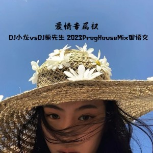 收听DJ小龙的爱情专属权 (禾木|蒙先生Music remix) (Remix)歌词歌曲