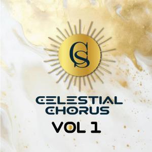 收聽Celestial Chorus的Emhlabeni (feat. Ayanda Ntanzi) (Live)歌詞歌曲