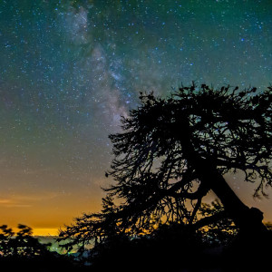 Nature's Lullaby: Slumber Beneath the Stars