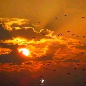 收聽Tlhogii-De Prince的Ngomusa (feat. Artists Hub)歌詞歌曲