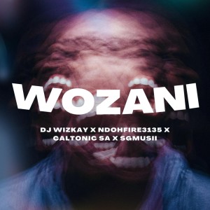 收聽Ndohfire3135的Wozani歌詞歌曲