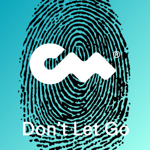 收聽Fluwence的Don't Let Go歌詞歌曲