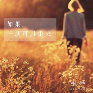 Listen to 如果一切可以重来 (DJ版) song with lyrics from 婉婷