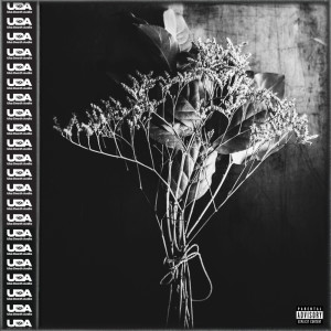 Listen to 秋風 (Explicit) song with lyrics from Uka Death Audio