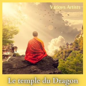 收听Alessandro Varzi的net歌词歌曲