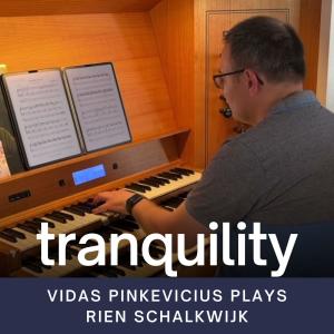 Vidas Pinkevicius的專輯Tranquility
