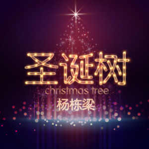 收听杨栋梁的圣诞树歌词歌曲