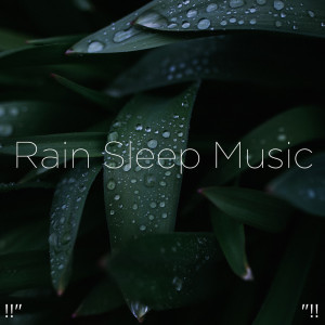 Dengarkan lagu Relaxing Sleep Ambience nyanyian Meditation Rain Sounds dengan lirik