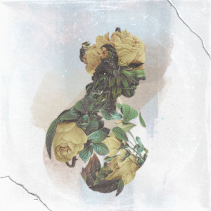 Listen to much better song with lyrics from flowersun