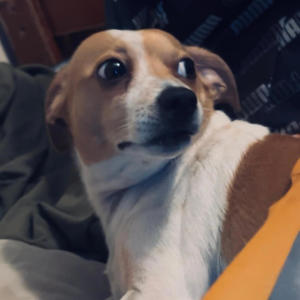 收聽Milo Pena的Skepta (feat. Brianneverlose) (Explicit)歌詞歌曲