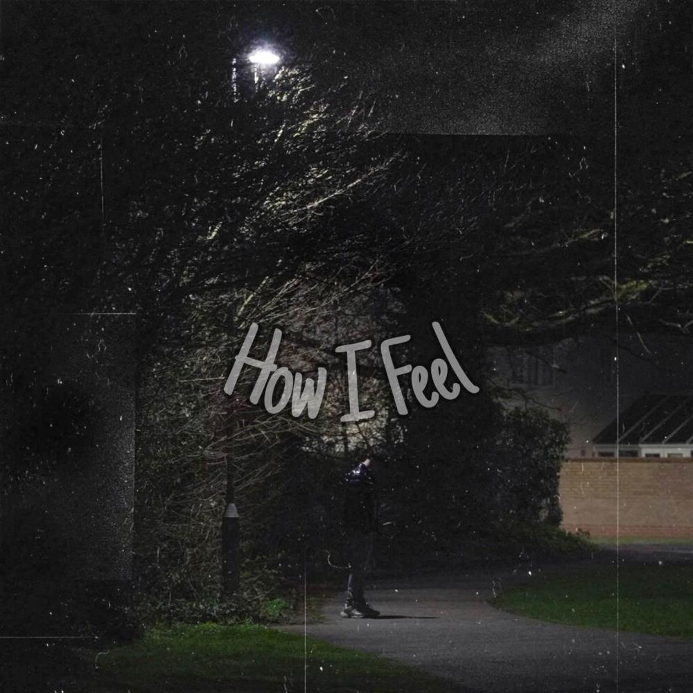How I Feel (feat. D33) (Explicit)